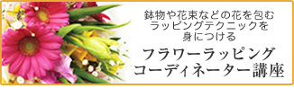 �ե���åԥ󥰥����ǥ��͡������ֺ�
